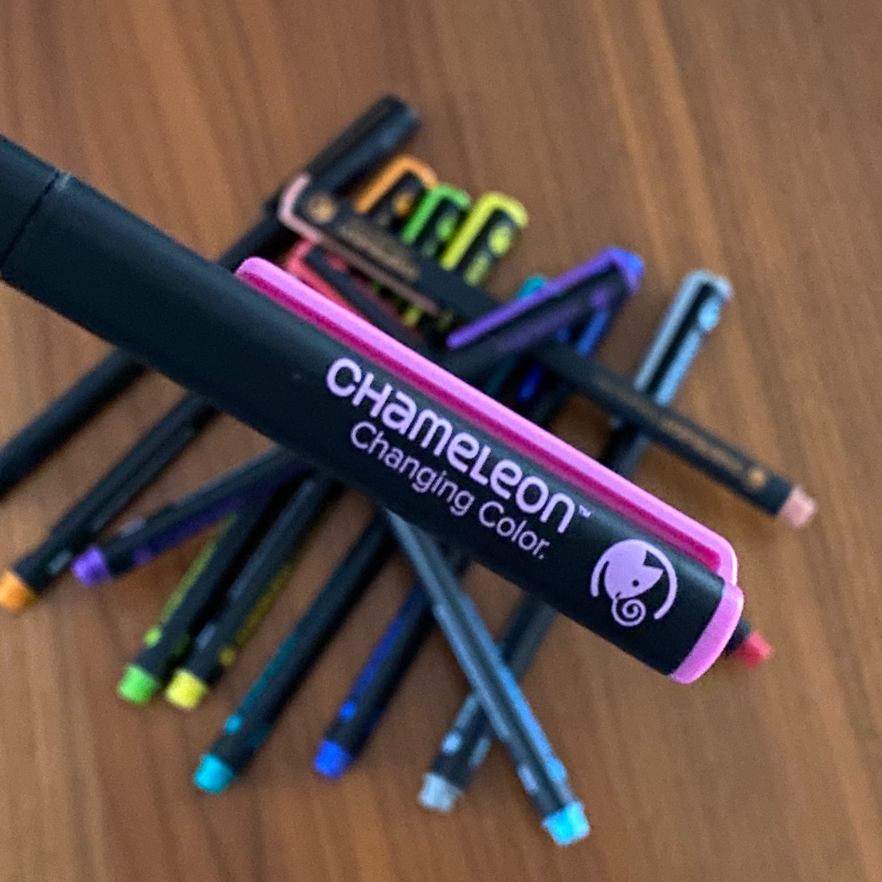Rotuladores Fineliners. Chameleon